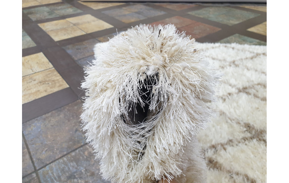 Бельгийский ковер Rhapsody 2513 100 длинноворсовый пушистый